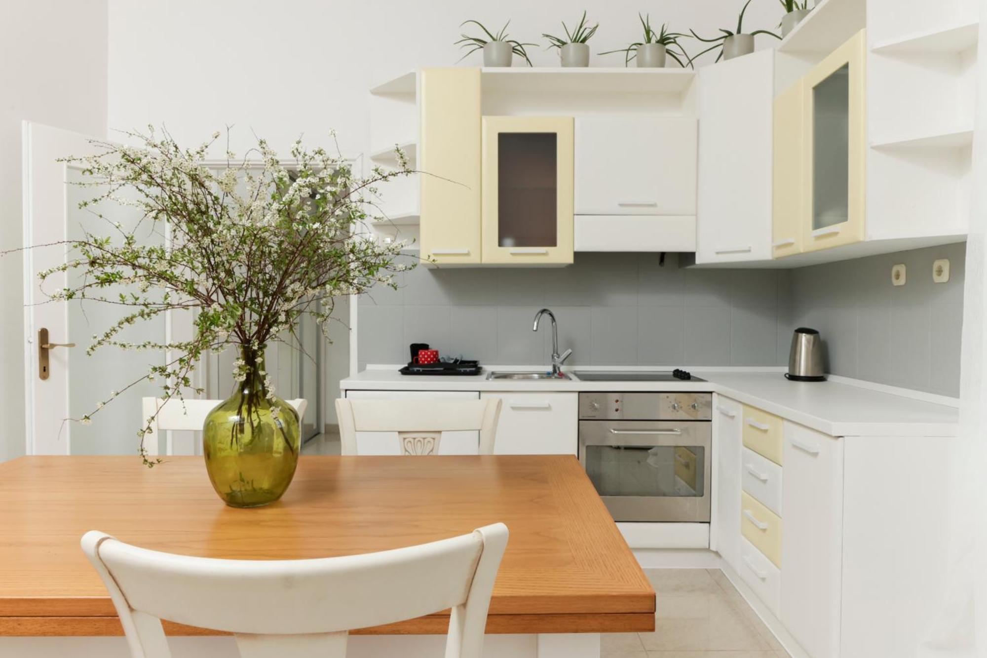 Apartment Scalierova 9